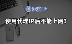 使用代理服务器（使用代理服务器时,所有用户对外IP数目一般为）