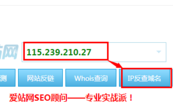 新域名怎么查询（域名怎么查询ip地址）