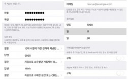 韩国苹果id怎么设置（韩国苹果id怎么设置中文）