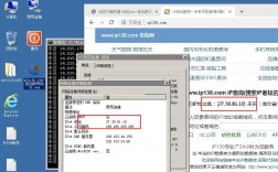 怎么用混拨vps（混拨ip api）