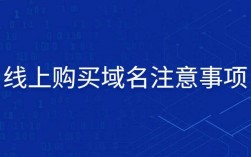 购买域名后怎么使用（购买域名后可以放着不使用吗）
