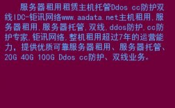 网络服务器怎么租（怎样租服务器）