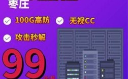 无视cc云服务器（无视cc云服务器怎么解决）