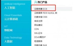 云服务器ecs选择什么系统（云服务器ecs购买须知)