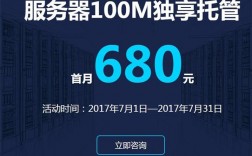 服务器托管100m独享（服务器托管1u是什么意思）