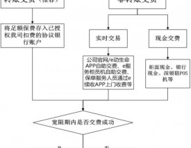 我续费的模板在哪里看（续费流程图怎么做）