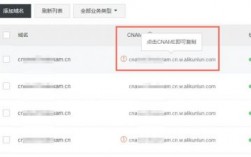 中文域名newg（中文域名能cdn吗）