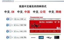 中文域名案例（中文域名发展）