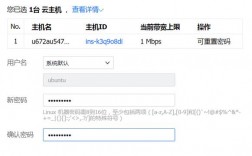 云主机怎么使用（云主机怎么联网）