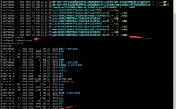 vps怎么挂载数据盘自动（vps如何使用教程）
