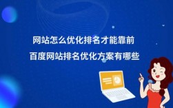 专业官网优化哪里有（专业优化网站排名）