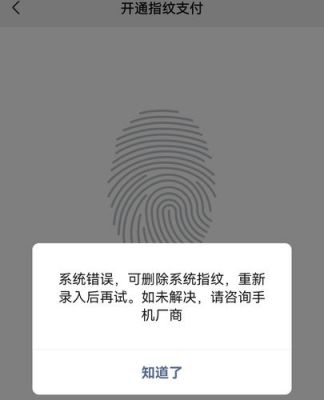 华为微信指纹支付(华为微信指纹支付怎么突然不能用了)-图1 华为微信指纹支付(华为微信指纹支付怎么突然不能用了)-图1