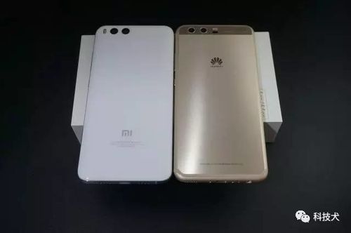 买华为p10(买华为p10还是小米6)-图1 买华为p10(买华为p10还是小米6)-图1
