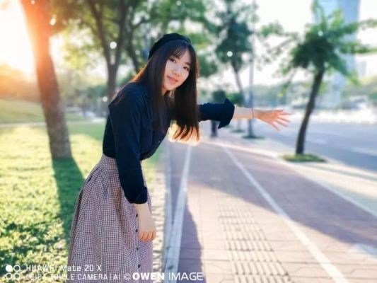 华为逆光主题(华为手机逆光拍照用什么模式)-图2 华为逆光主题(华为手机逆光拍照用什么模式)-图2