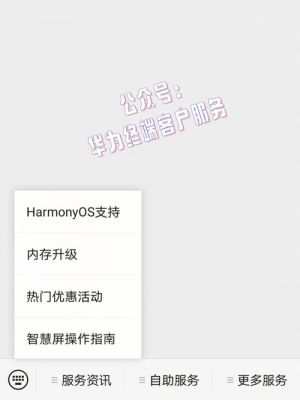 华为官网升级(华为官网升级内存怎么样)-图2 华为官网升级(华为官网升级内存怎么样)-图2