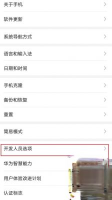 华为进入开发者选项(华为进入开发者选项怎么设置)-图2 华为进入开发者选项(华为进入开发者选项怎么设置)-图2