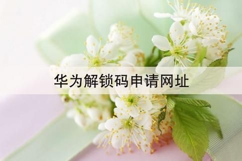 华为官网解锁码(华为手机解锁码申请网站首页)-图1 华为官网解锁码(华为手机解锁码申请网站首页)-图1