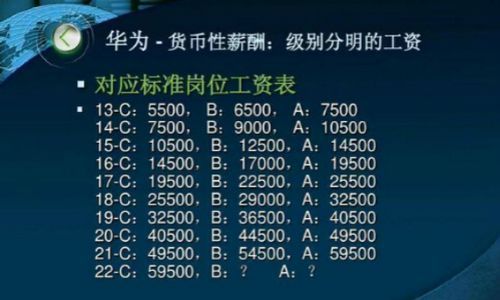华为制式(华为的所有制性质是什么)-图2 华为制式(华为的所有制性质是什么)-图2