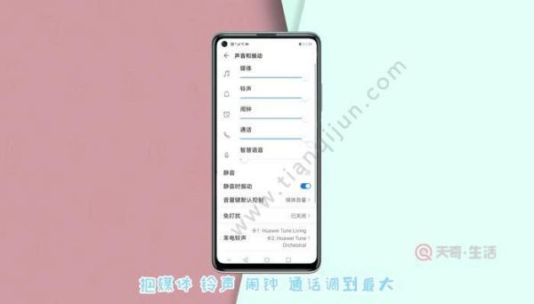 华为手机扬声器(华为手机扬声器声音变小了怎么办)-图1 华为手机扬声器(华为手机扬声器声音变小了怎么办)-图1