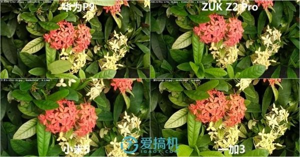 华为p9样张(华为p9样张对比)-图2 华为p9样张(华为p9样张对比)-图2