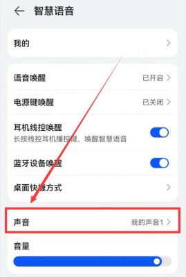 华为手机增大音量(华为手机增大音量的app)-图3 华为手机增大音量(华为手机增大音量的app)-图3