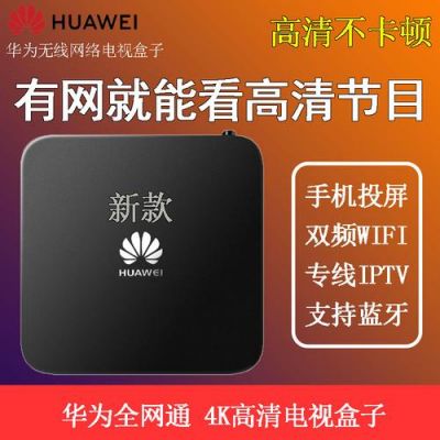 华为voice盒子(华为6110盒子语音不能用了)-图1 华为voice盒子(华为6110盒子语音不能用了)-图1