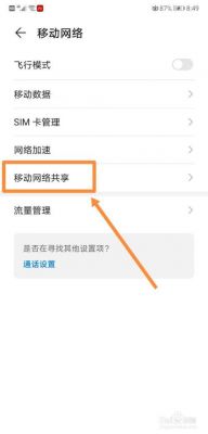 华为热点密码在哪看(华为手机个人热点在哪里打开)-图1 华为热点密码在哪看(华为手机个人热点在哪里打开)-图1