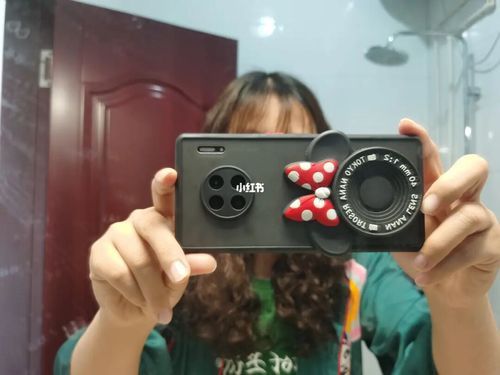 华为秒杀单反(单反相机和华为手机拍照哪个好)-图3 华为秒杀单反(单反相机和华为手机拍照哪个好)-图3