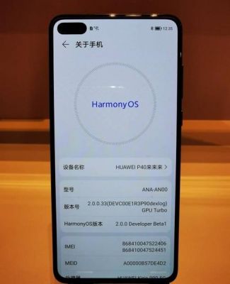 华为P10256(华为P10什么时候升级鸿蒙3)-图1 华为P10256(华为P10什么时候升级鸿蒙3)-图1