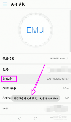 华为4c开发者选项在哪(华为4c开发者选项在哪里打开)-图2 华为4c开发者选项在哪(华为4c开发者选项在哪里打开)-图2
