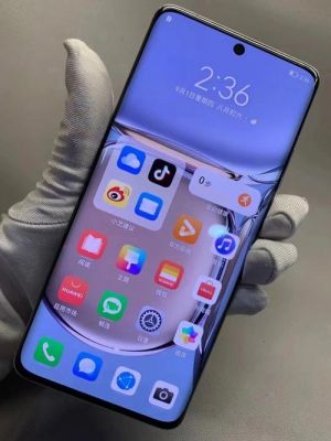华为p65(华为p50pro)-图1 华为p65(华为p50pro)-图1