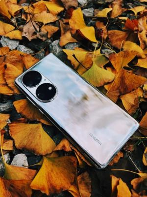华为p65(华为p50pro)-图3 华为p65(华为p50pro)-图3
