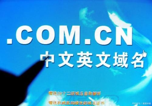 中文国内域名(2021中文域名)-图3 中文国内域名(2021中文域名)-图3