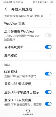 华为荣耀otg在哪里(华为荣耀OTG在哪里)-图3 华为荣耀otg在哪里(华为荣耀OTG在哪里)-图3