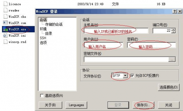 虚拟主机怎么上传图片(虚拟主机怎么上传图片文件)-图2 虚拟主机怎么上传图片(虚拟主机怎么上传图片文件)-图2