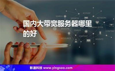国际大带宽服务器(国际带宽是什么意思)-图1 国际大带宽服务器(国际带宽是什么意思)-图1