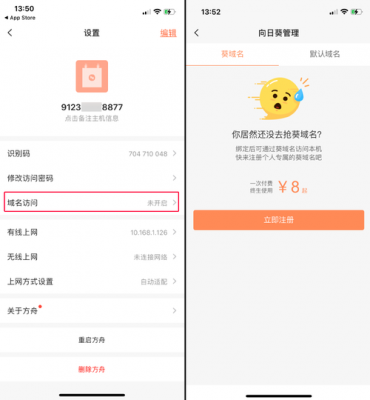 向日葵买了域名怎么用(向日葵ip地址)-图3 向日葵买了域名怎么用(向日葵ip地址)-图3