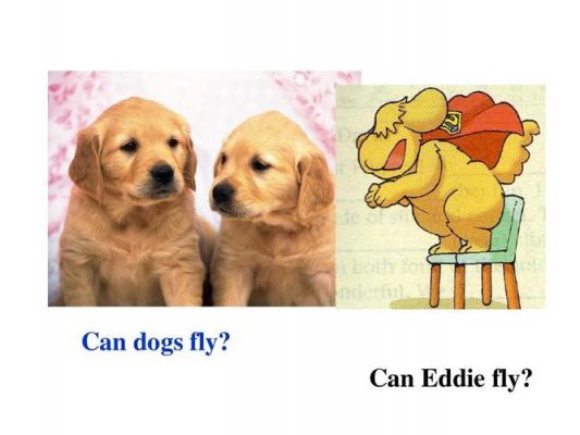 Thedogcanfly哪里错了(candogsfly中文的意思)-图3 Thedogcanfly哪里错了(candogsfly中文的意思)-图3