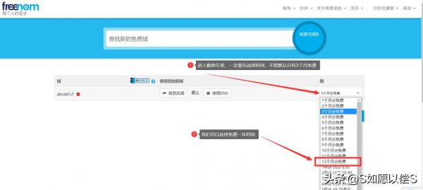 怎么获得免费域名(怎么免费申请域名)-图3 怎么获得免费域名(怎么免费申请域名)-图3