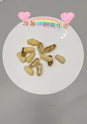 怎么注册免费的花生壳(花生壳注册是免费的吗)-图2 怎么注册免费的花生壳(花生壳注册是免费的吗)-图2