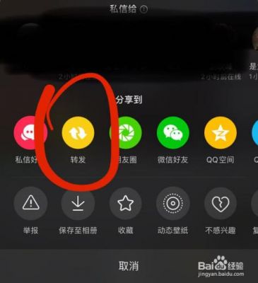 如何域名转发(如何域名转发抖音视频)-图3 如何域名转发(如何域名转发抖音视频)-图3