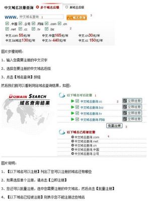 如何查询中文域名(中文域名检索)-图1 如何查询中文域名(中文域名检索)-图1