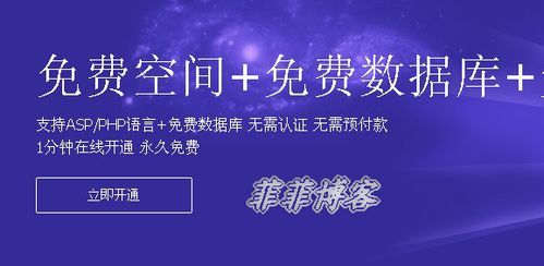 哪里有免费域名和空间(免费网站域名空间)-图3 哪里有免费域名和空间(免费网站域名空间)-图3