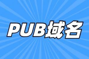 著名pub域名(pub的全称)-图1 著名pub域名(pub的全称)-图1