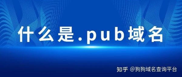 著名pub域名(pub的全称)-图2 著名pub域名(pub的全称)-图2