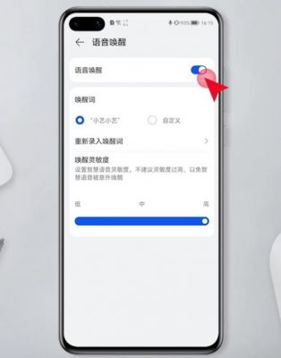 华为设置打不开(华为设置打不开,智慧语音禁止使用)-图2 华为设置打不开(华为设置打不开,智慧语音禁止使用)-图2