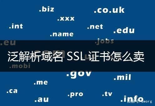 iis泛解析域名(泛解析ssl证书)-图2 iis泛解析域名(泛解析ssl证书)-图2