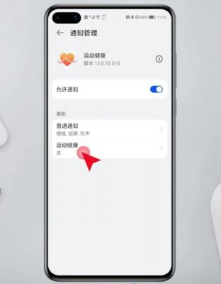 华为手机自带运动软件(华为手机自带运动软件叫什么)-图2 华为手机自带运动软件(华为手机自带运动软件叫什么)-图2