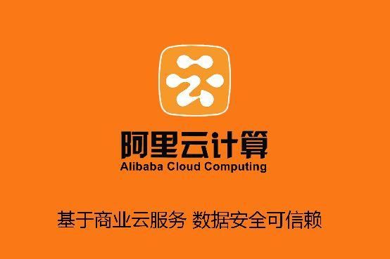 阿里企业云域名(阿里云域名怎么样)-图2 阿里企业云域名(阿里云域名怎么样)-图2