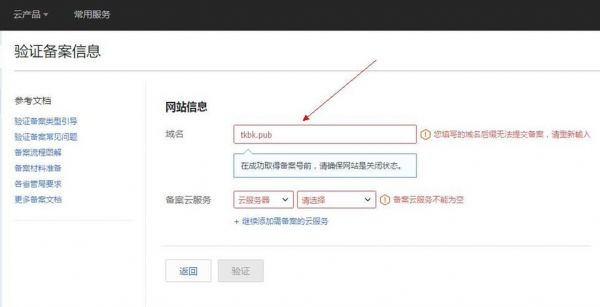 pub域名(pub域名不能icp备案)-图2 pub域名(pub域名不能icp备案)-图2